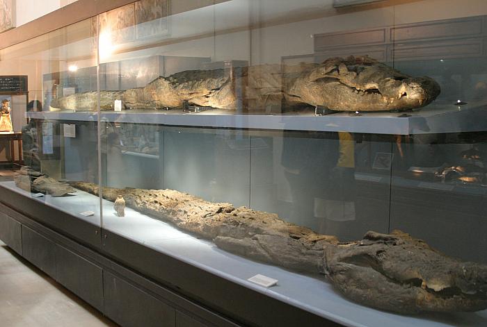 华体会体育hth官方网站