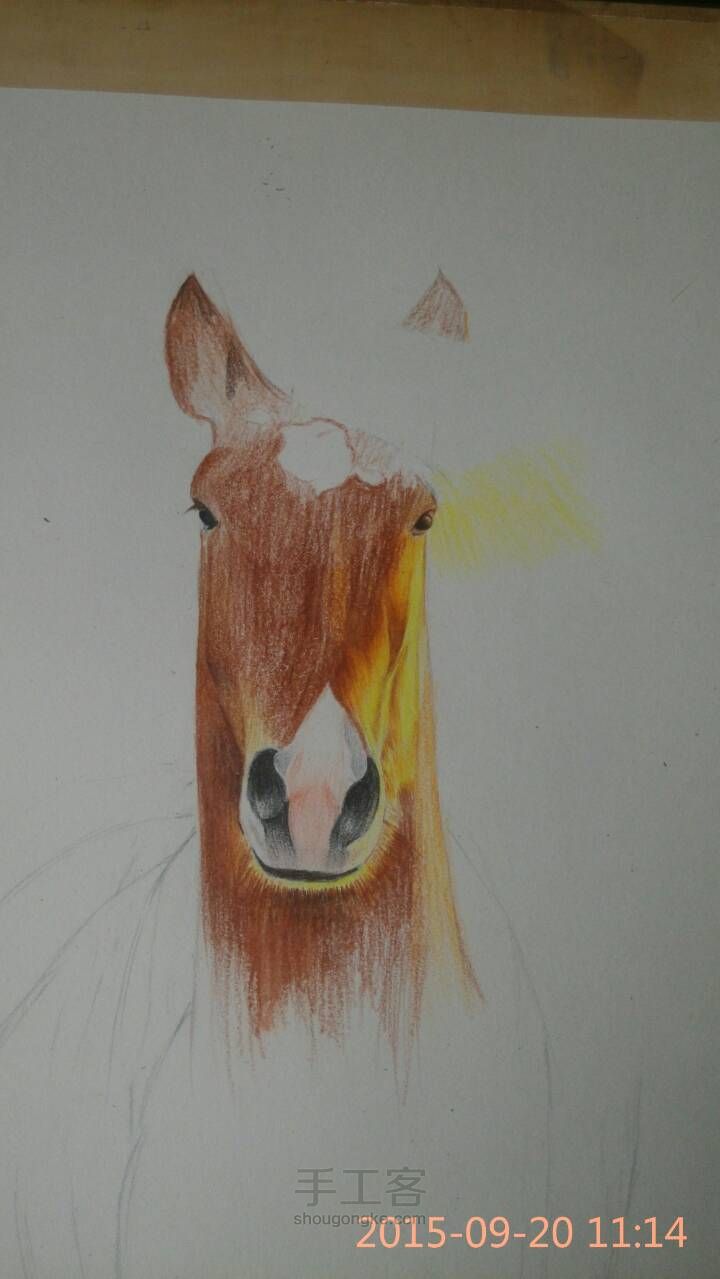 华体会体育hth官方网站