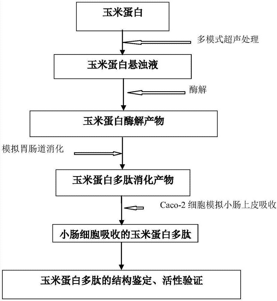 姆巴佩、斯特林领衔,英格兰四人上榜!当今足坛身价前十名的巨星“hth官网入口”(图2) 华体会体育hth官方网站