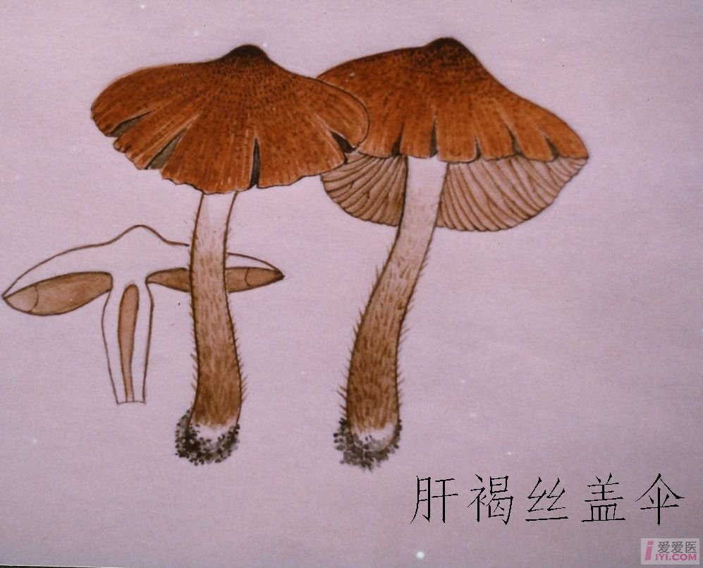 华体会体育hth官方网站