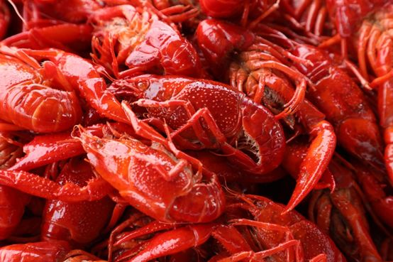 hth官网入口-七日的王妃更新时间介绍 七日的王妃每周更新几集(图3) 华体会体育hth官方网站