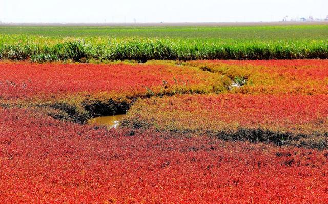 华体会体育hth官方网站