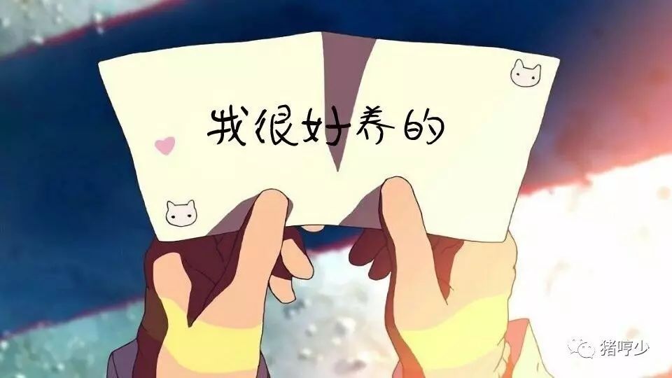 华体会体育hth官方网站